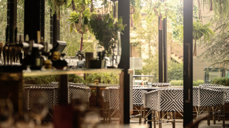 Agostinis restaurant interiors with hanging plants