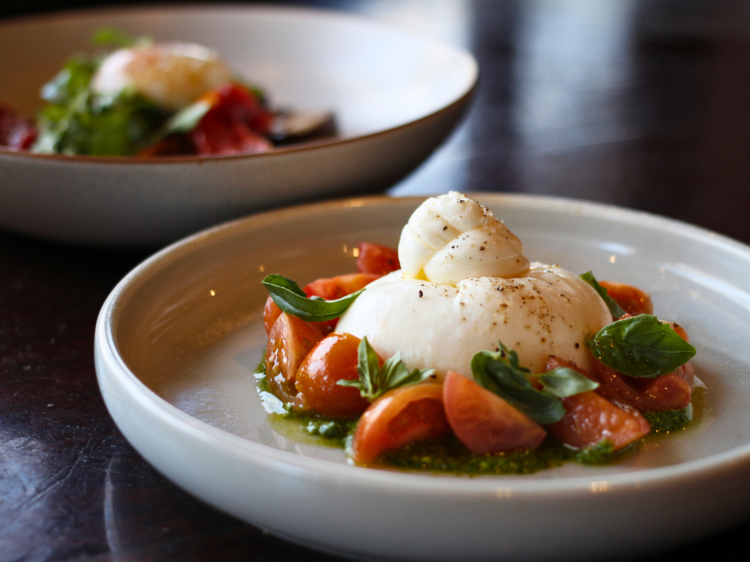 Burrata with cherry tomatoes