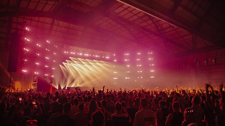 A huge crowd in front of a stage with lasers at an EDM festival.