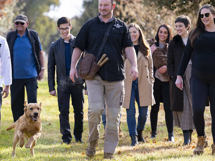 Hunt for black gold at The Truffle Farm Hunt for black gold at The Truffle Farm