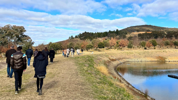 Group walking into truffle farm under blue skies