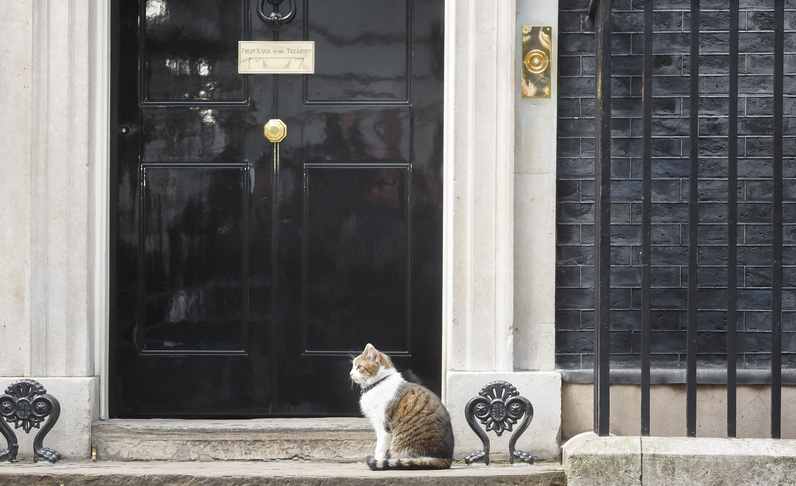 Downing Street has just got an adorable new resident