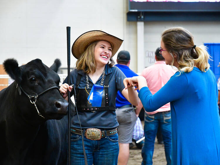 Nebraska State Fair, Grand Island