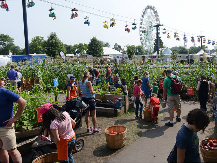 Minnesota State Fair, St. Paul