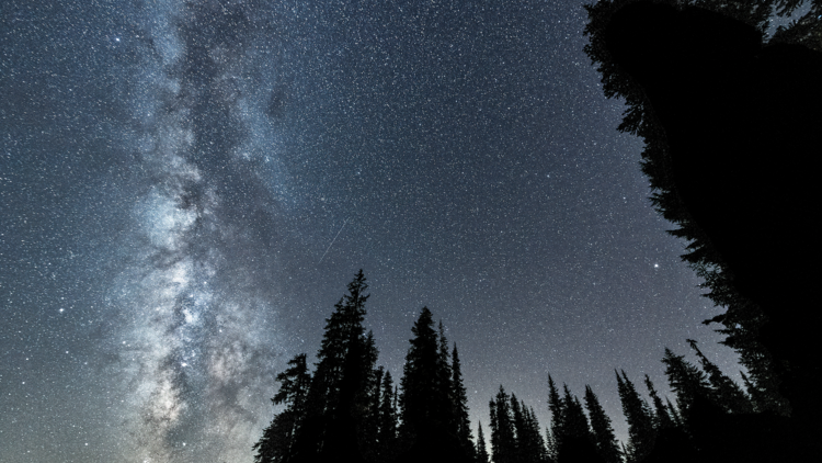 The Delta Aquariids meteor shower and Milky Way over the Gifford Pinchot National Forest near Mt. Adams, Washington State