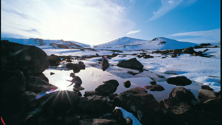 Head out on an alpine adventure