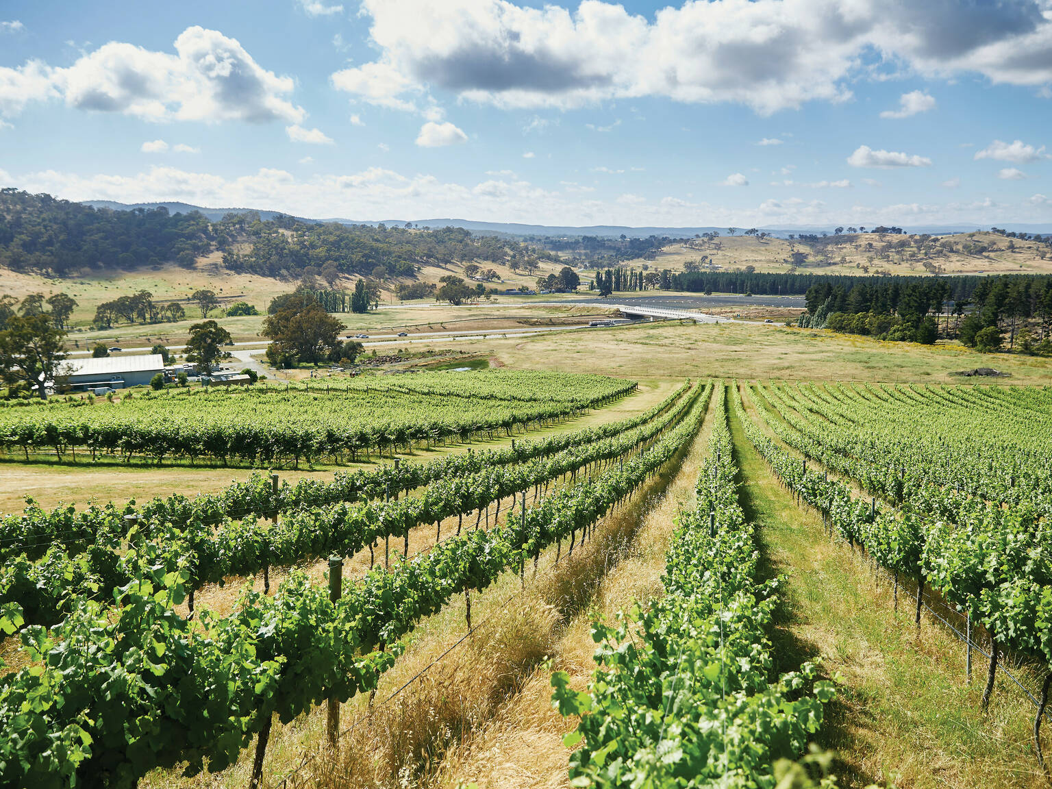 The 6 best day trips from Canberra