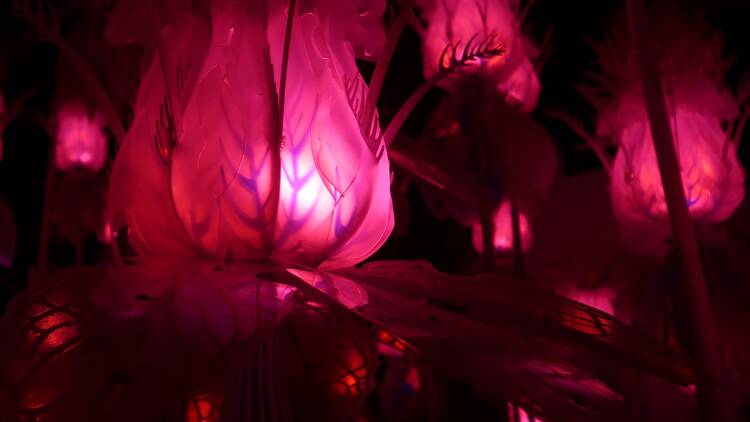 Giant glowing flower buds. 