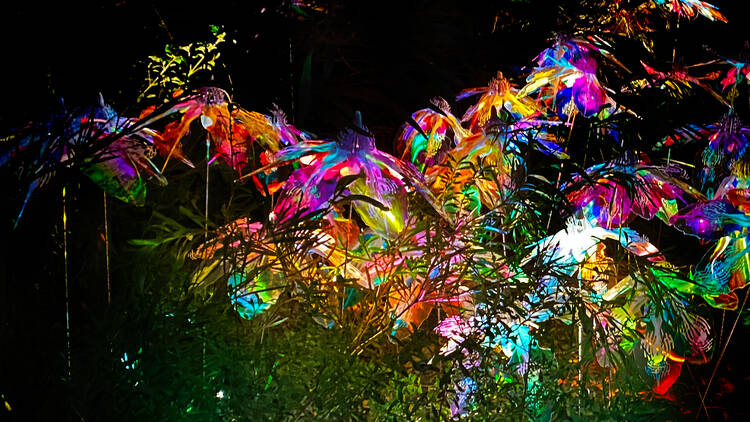 A rainbow-coloured, glowing light installation. 