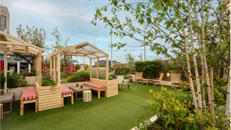 Greenhouse booths in a green rooftop garden 