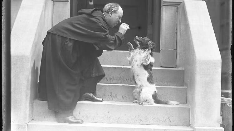 A priest and his dog on a city stoop