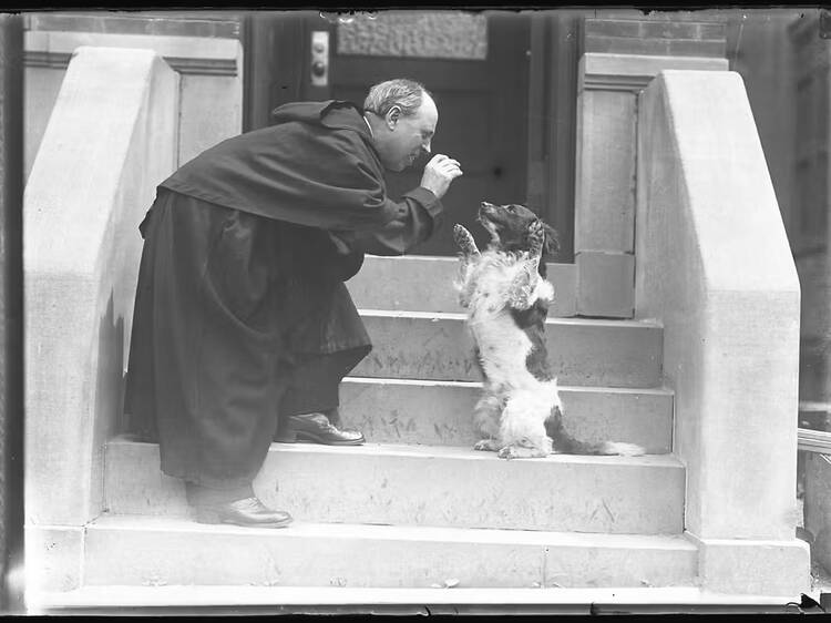 Pets and the City exhibit