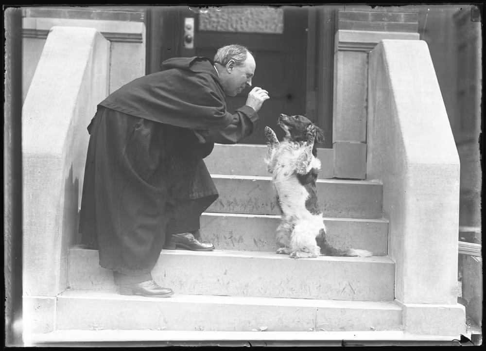 A pawsitively adorable exhibit about NYC's pets is coming to New-York Historical Society