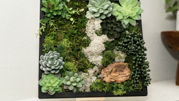 Virtual Workshop: Moss Wall Art