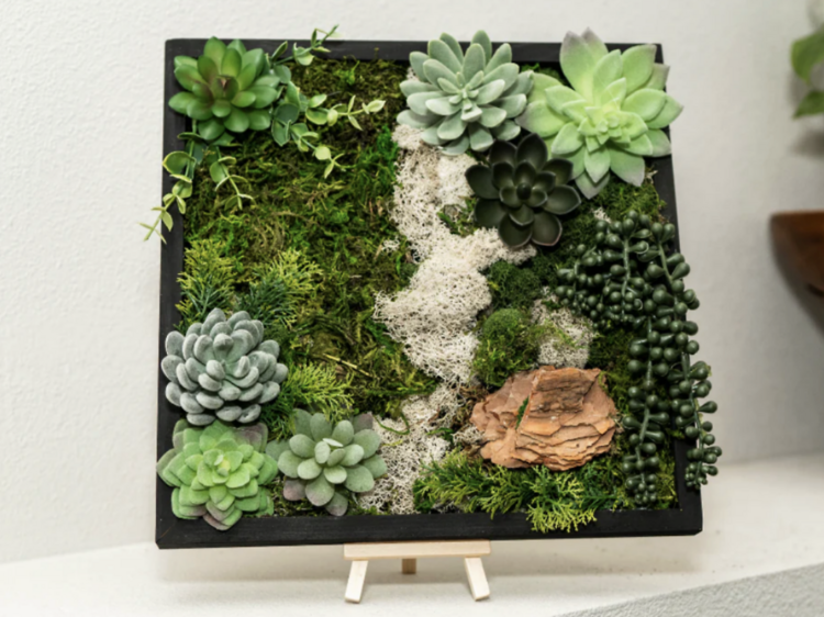 Virtual Workshop: Moss Wall Art