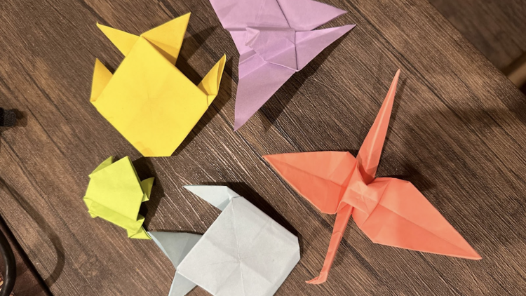 Virtual Origami Workshop