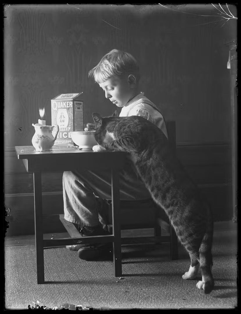 A boy and his cat both eating cereal from the table