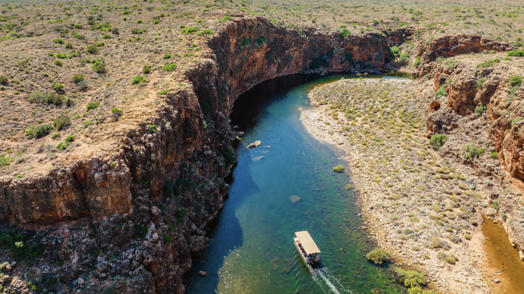 Spot rock wallabies at Yardie Creek