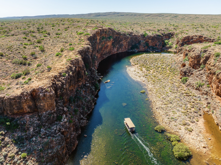 Spot rock wallabies at Yardie Creek