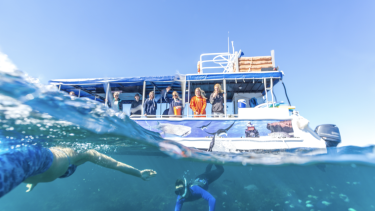 Jump on a glass-bottom boat tour of Ningaloo Reef