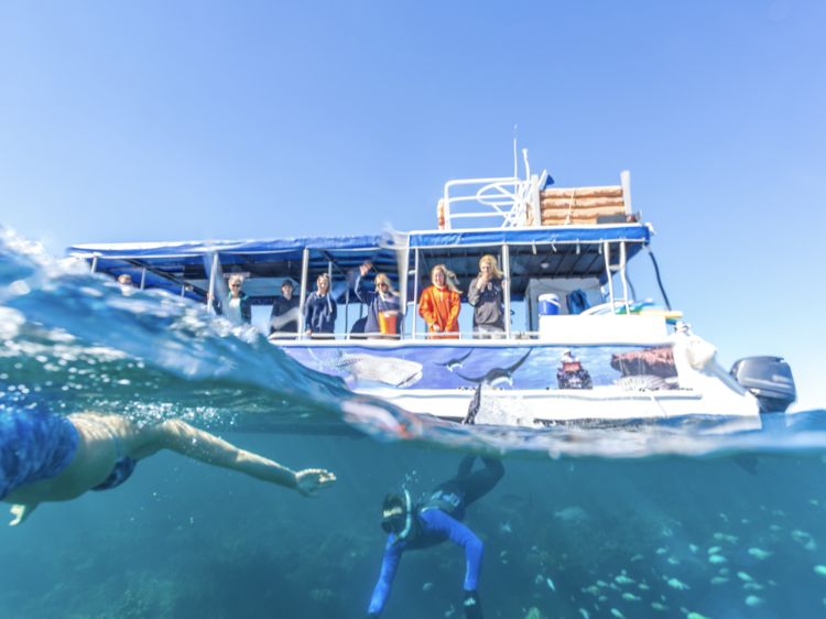 Jump on a glass-bottom boat tour of Ningaloo Reef