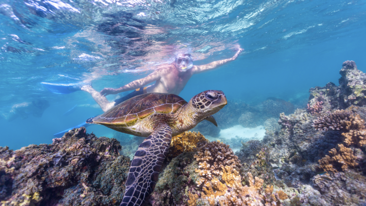 Snorkel Turquoise Bay