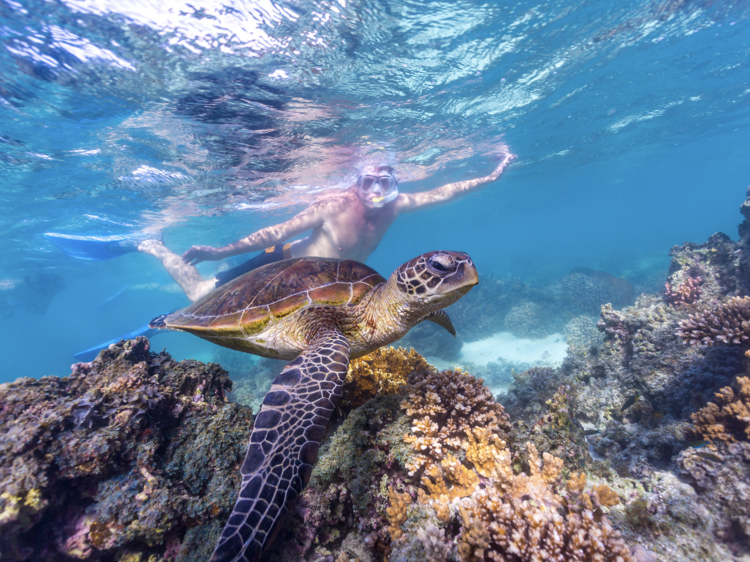 Snorkel Turquoise Bay