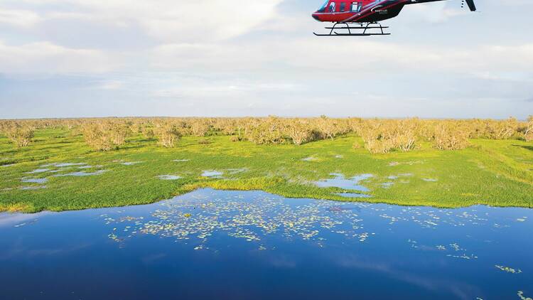 The Darwin Distilling Co Heli-Foraging Experience