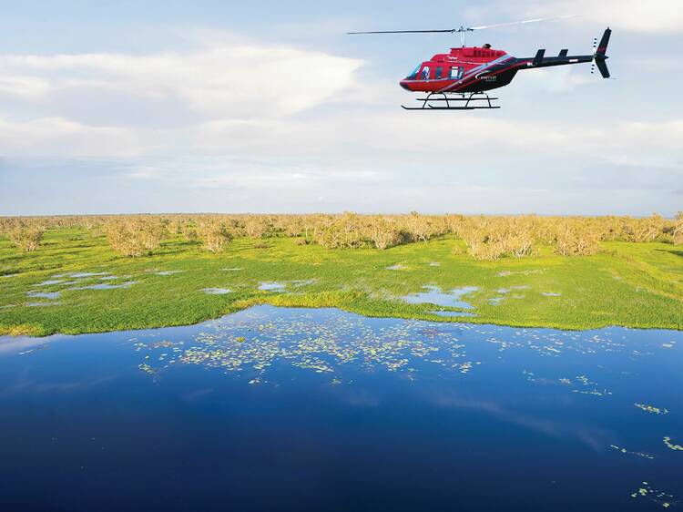 The Darwin Distilling Co Heli-Foraging Experience