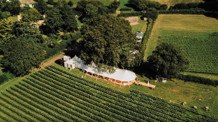 Birdseye view of a green vineyard with a white marquee in the centre 