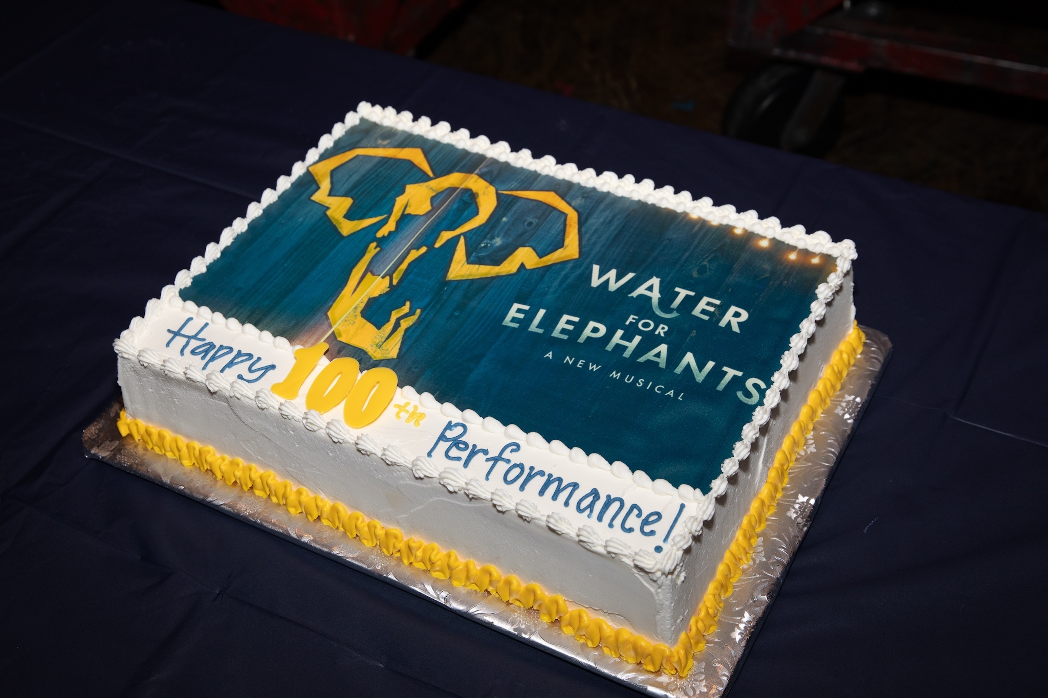 A cake with the Water for Elephants logo.