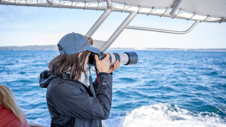 Dr Vanessa taking a photo of whales