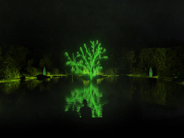 Experience K’gari’s dazzling new light show, QLD