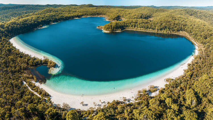 Aerial view of lake surrounded by forest