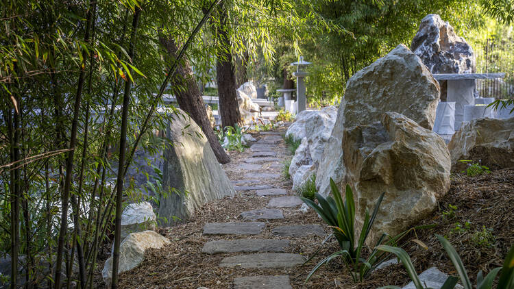 A bamboo-framed walkway in a garden.