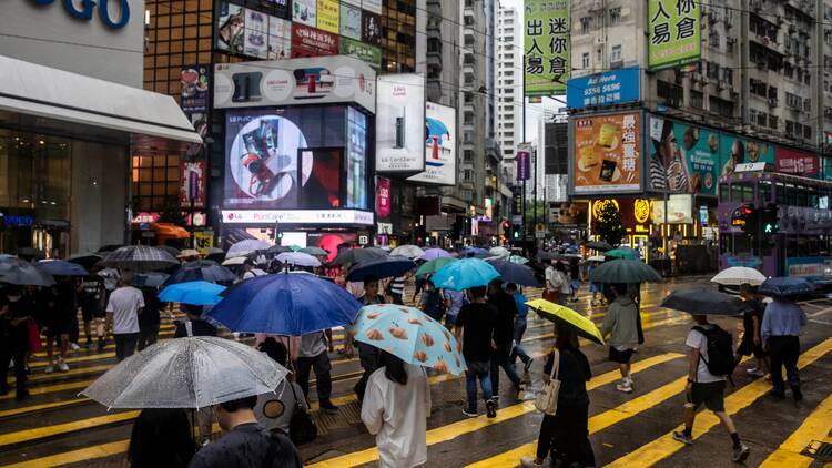 Umbrellas are not just for rain Umbrellas are not just for rain