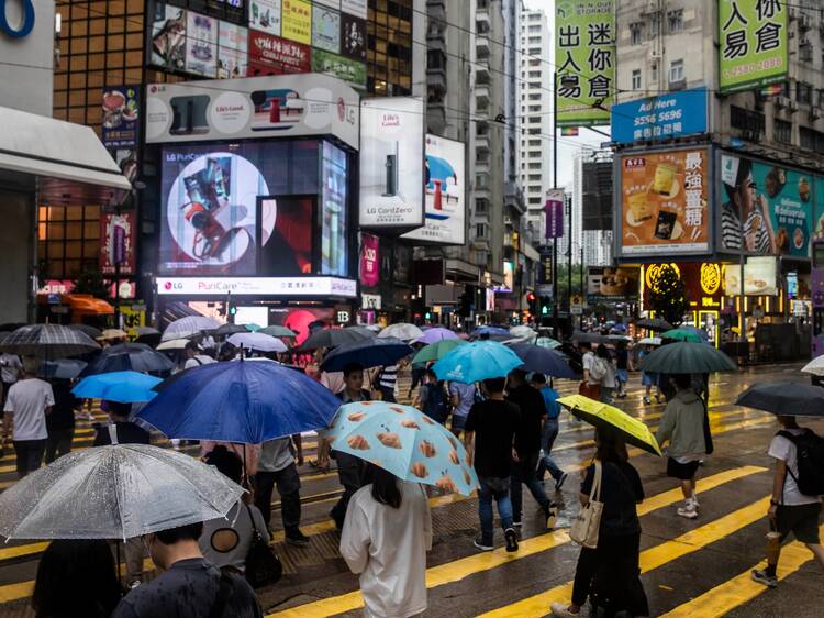 Umbrellas are not just for rain Umbrellas are not just for rain