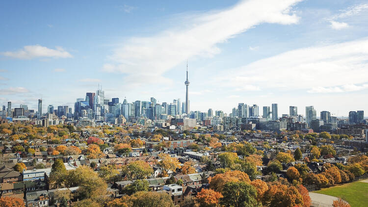 Toronto's skyline in the fall.