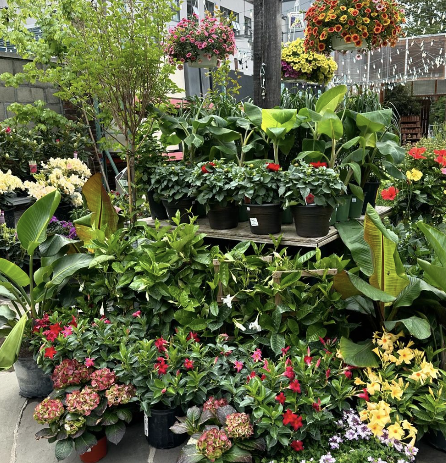 Beloved Brooklyn venue Crest Hardware & Urban Garden Center is closing at the end of the summer