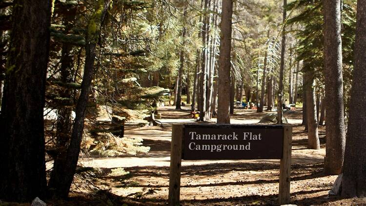 Tamarack Flat