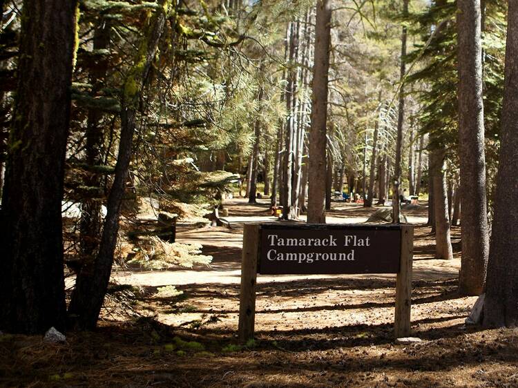 Tamarack Flat