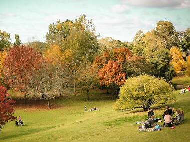 Botanic Park Botanic Park