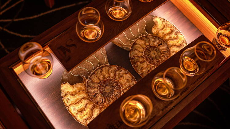 Row of whiskeys on table with fossil