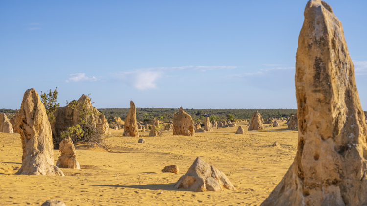 Perth to Cervantes (and The Pinnacles)