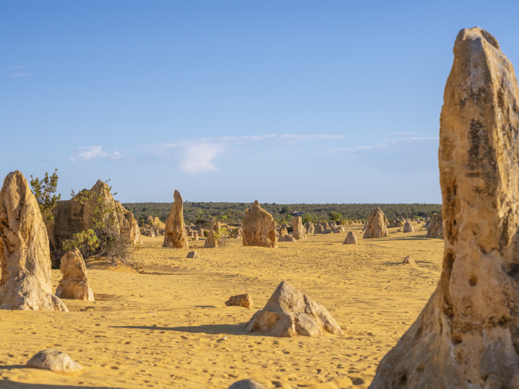 Perth to Cervantes (and The Pinnacles)