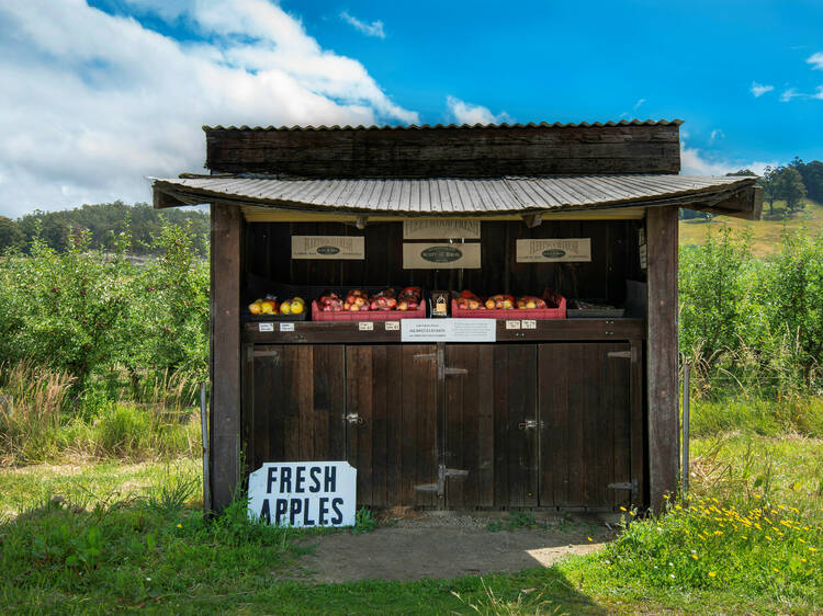 Drive around the Huon Valley