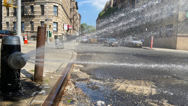 fire hydrant in city