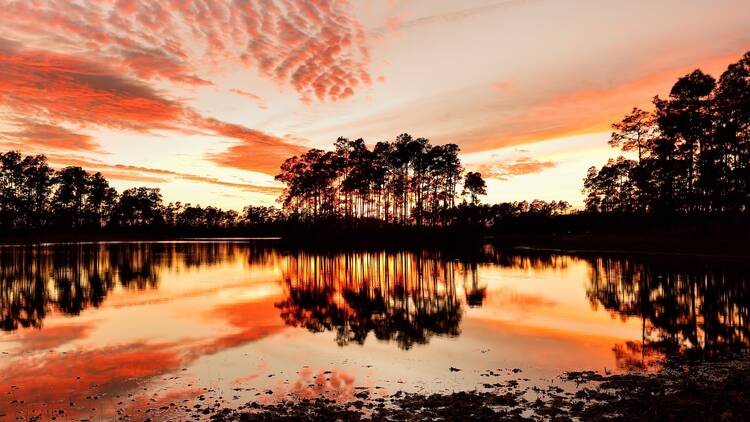 Everglades National Park