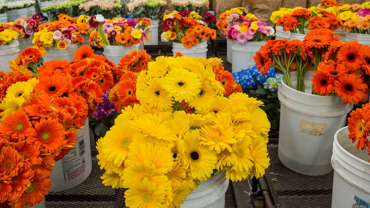 Pick up fresh floral finds at the Original Los Angeles Flower Market