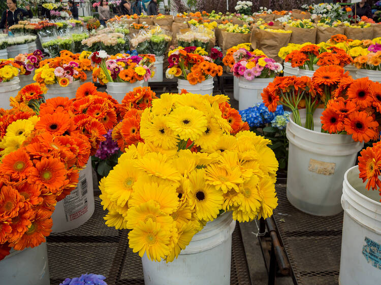 Pick up fresh floral finds at the Original Los Angeles Flower Market